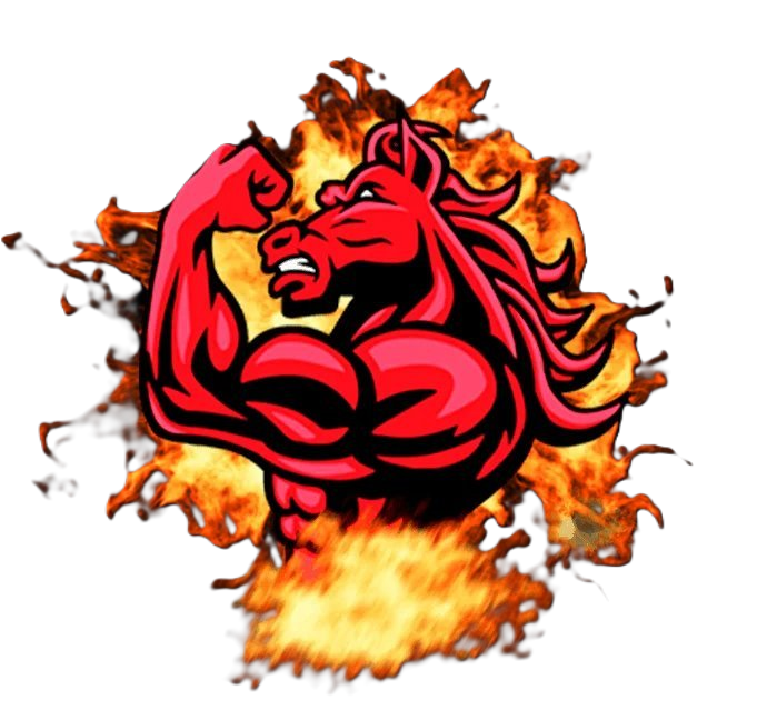 Power Cavalo